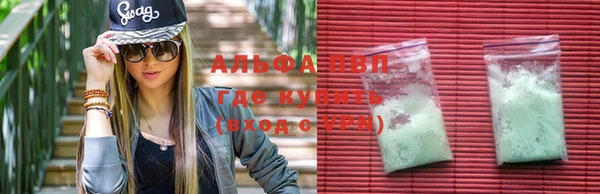 прущие грибы Абинск