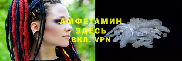 прущие грибы Абинск