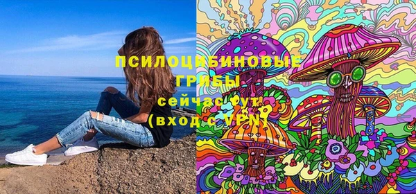 прущие грибы Абинск